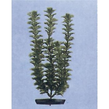AP 002\8 PIANTA IN PLASTICA 20CM